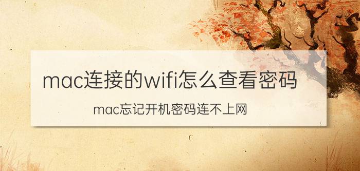 mac连接的wifi怎么查看密码 mac忘记开机密码连不上网？